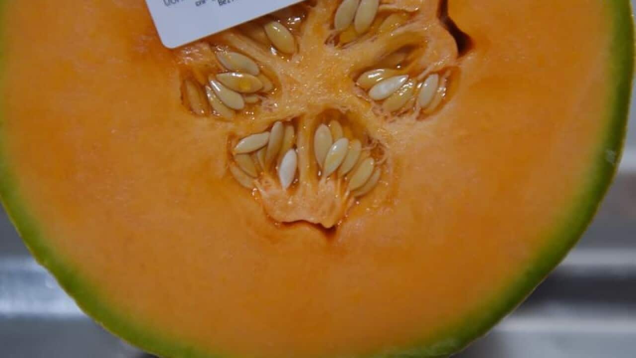 A rockmelon