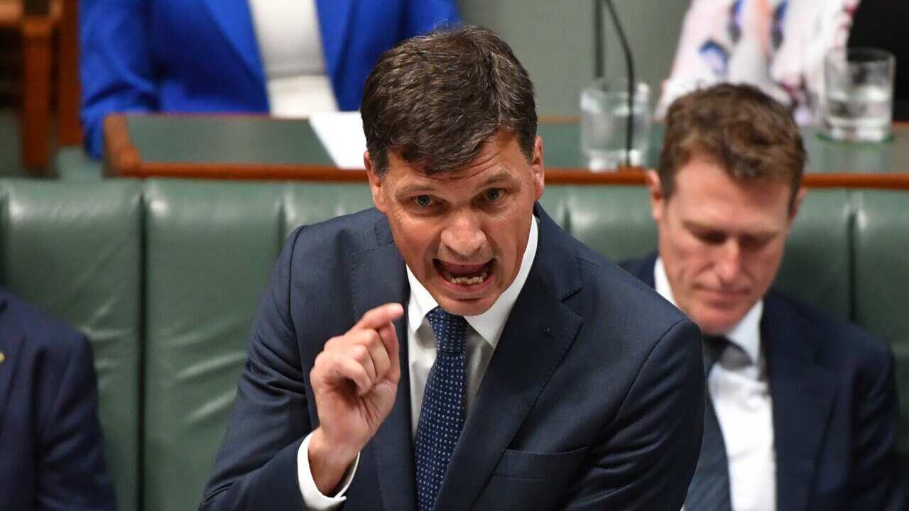 Minister for Energy Angus Taylor has released the government's technology road map towards reducing emissions.