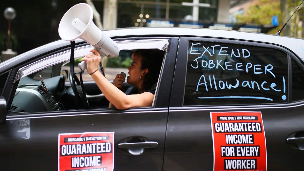 A car convoy protesting about JobSeeker payments drives through Sydney