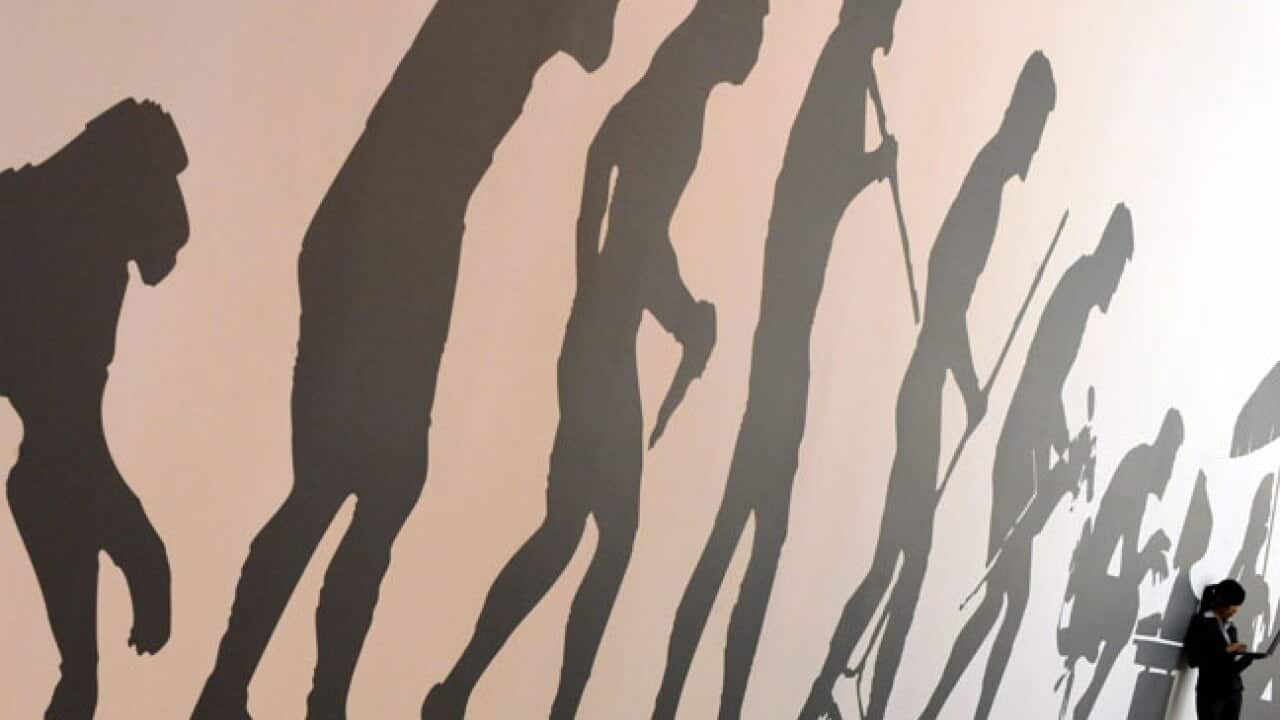 Evolution_Humans_100311_B_Getty_1815153458