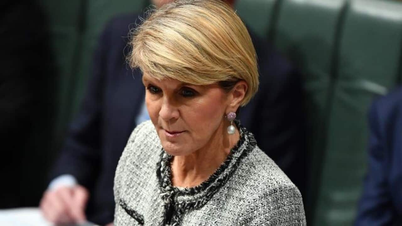 Foreign Minister, Julie Bishop
