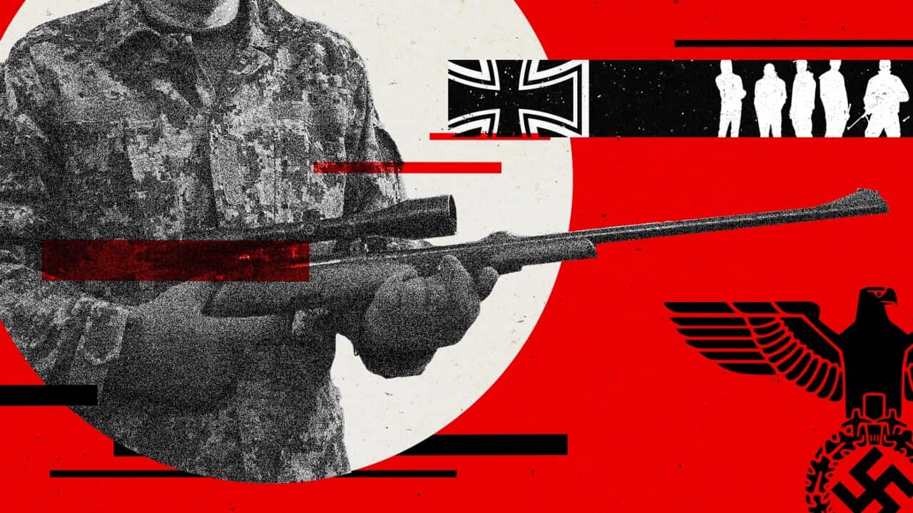 rifle graphic SBS News