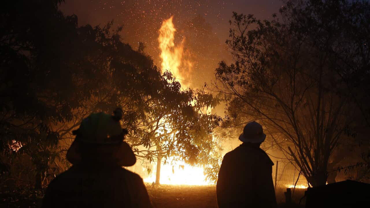 Two firefighters can be seen from behind as they look at the bushfire.