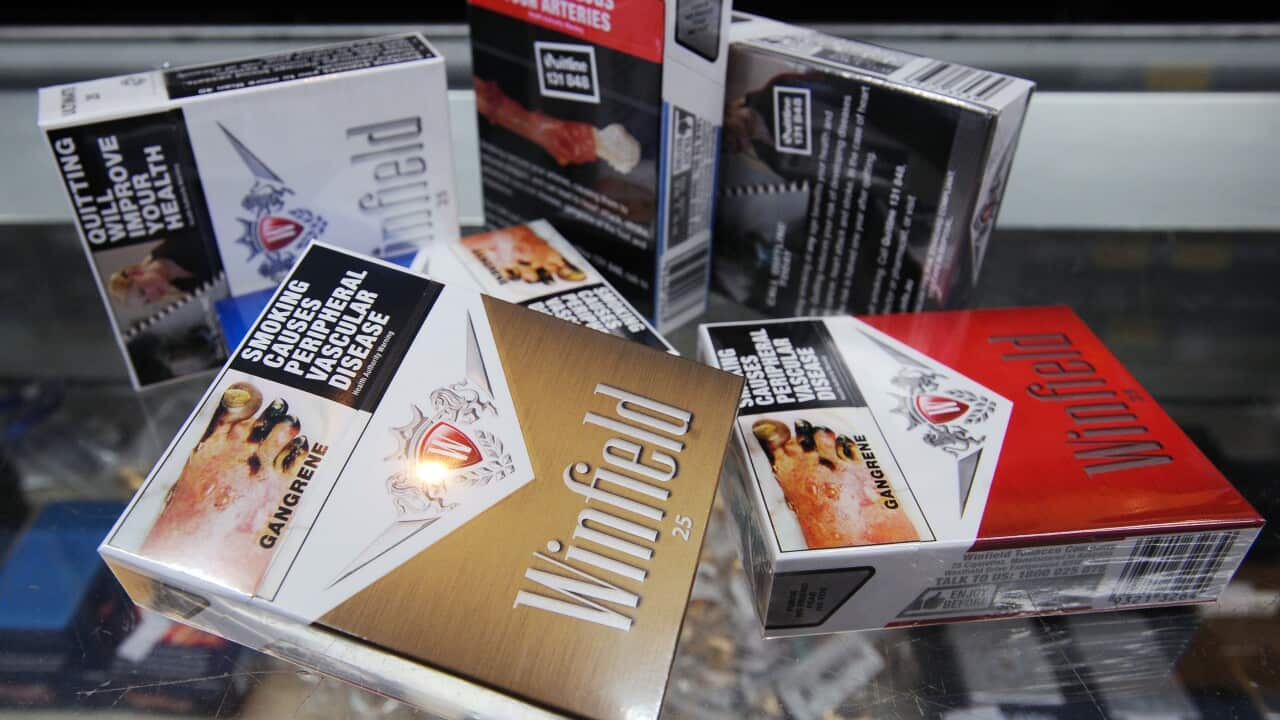 TOBACCO ADVERTISING CAMPAIGN