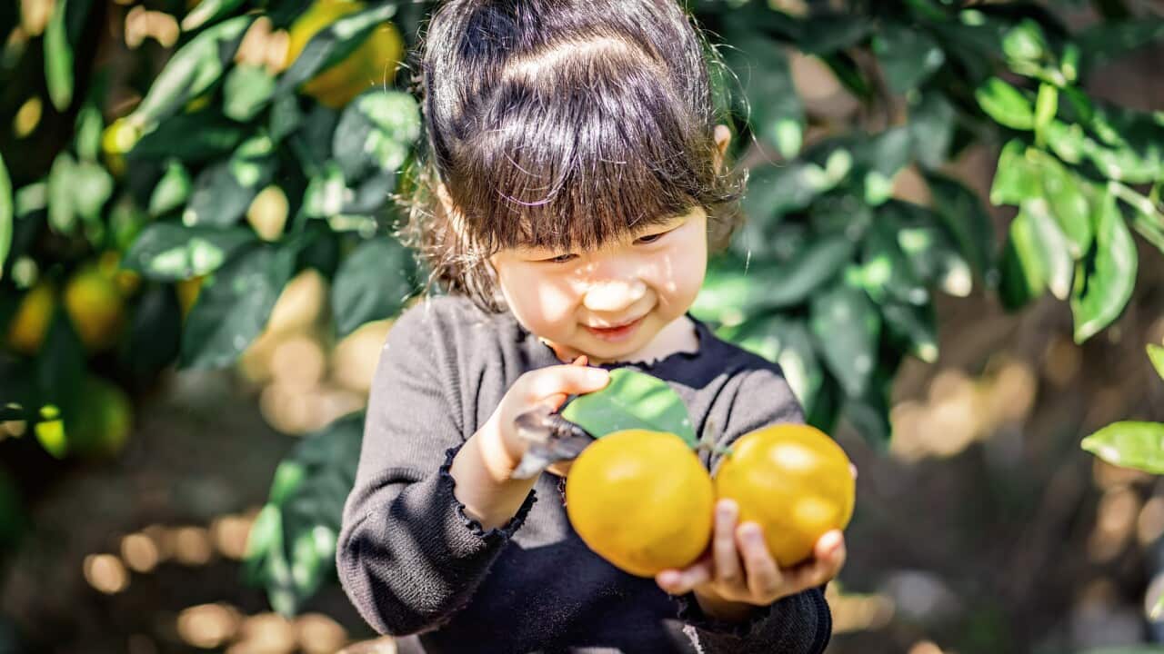 Image for read more article ''