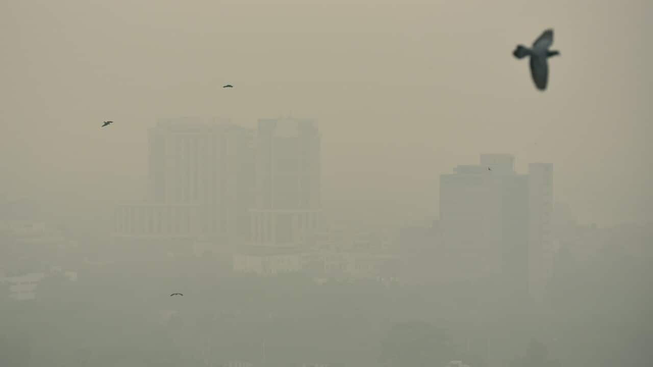 Delhi-NCR Air Pollution