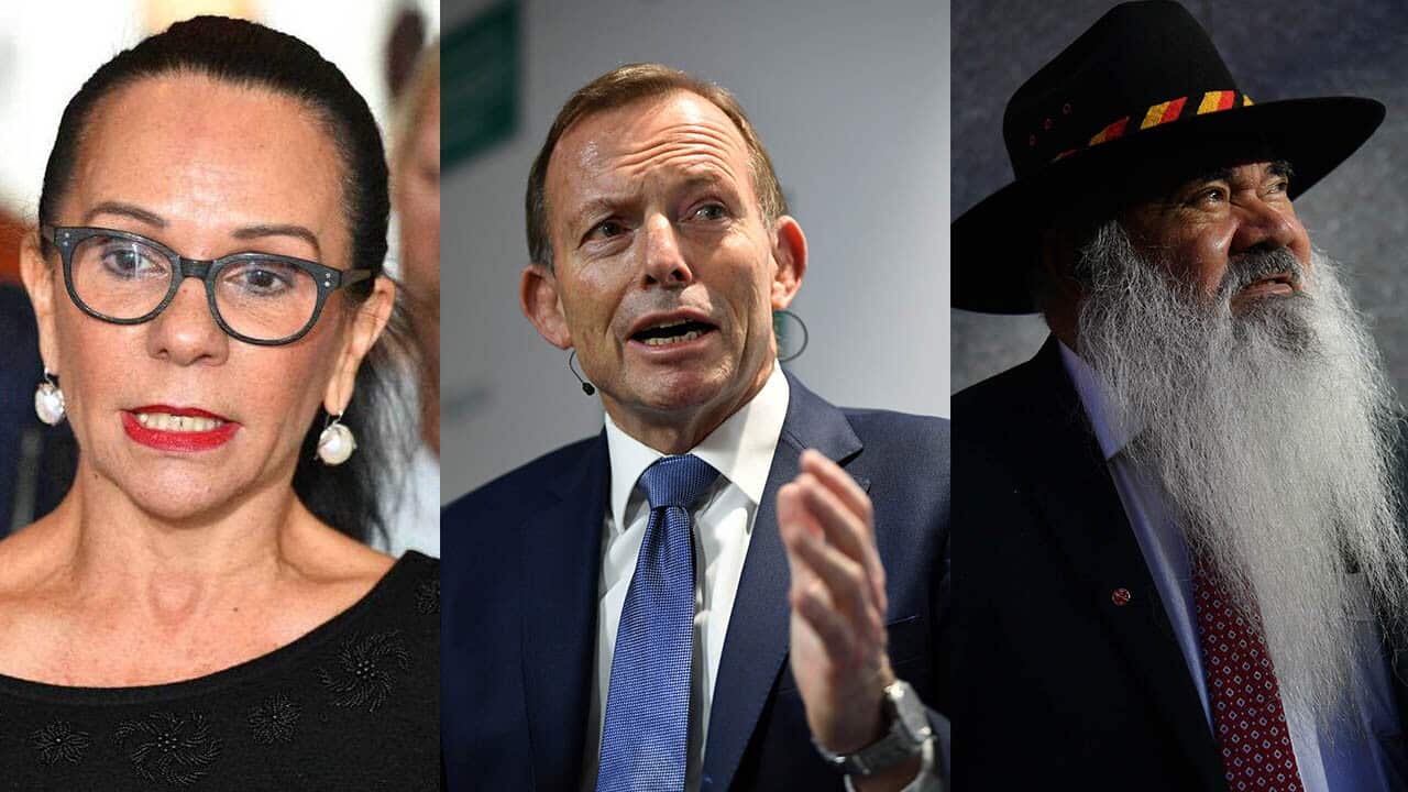 Several Indigenous voices have slammed the appointment of Tony Abbott as an Indigenous affairs envoy.