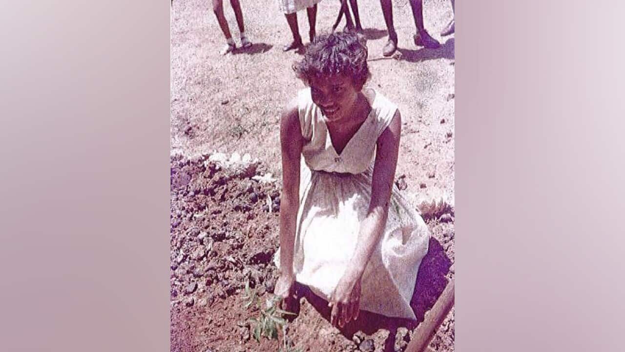 $50M STOLEN GENERATION PAYOUT