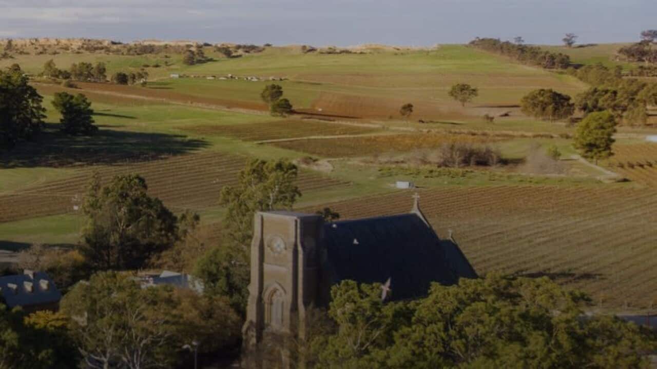 seven hill cellars.jpg