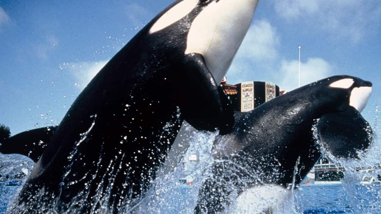 seaworld_140412_AAP.jpg