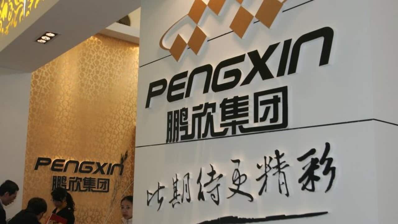 Pengxin Group's DaKang bidding for S Kidman