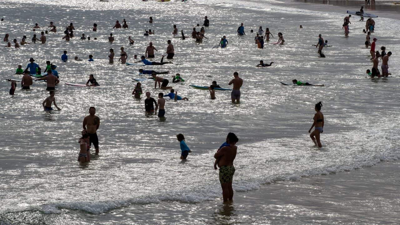 People enjoy a late afternoon swim at Sydney's Bondi Beach