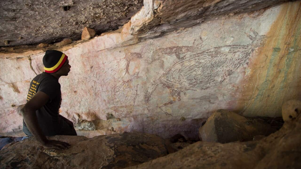 Australia's oldest known rock shelter painting in WA's Kimberley region