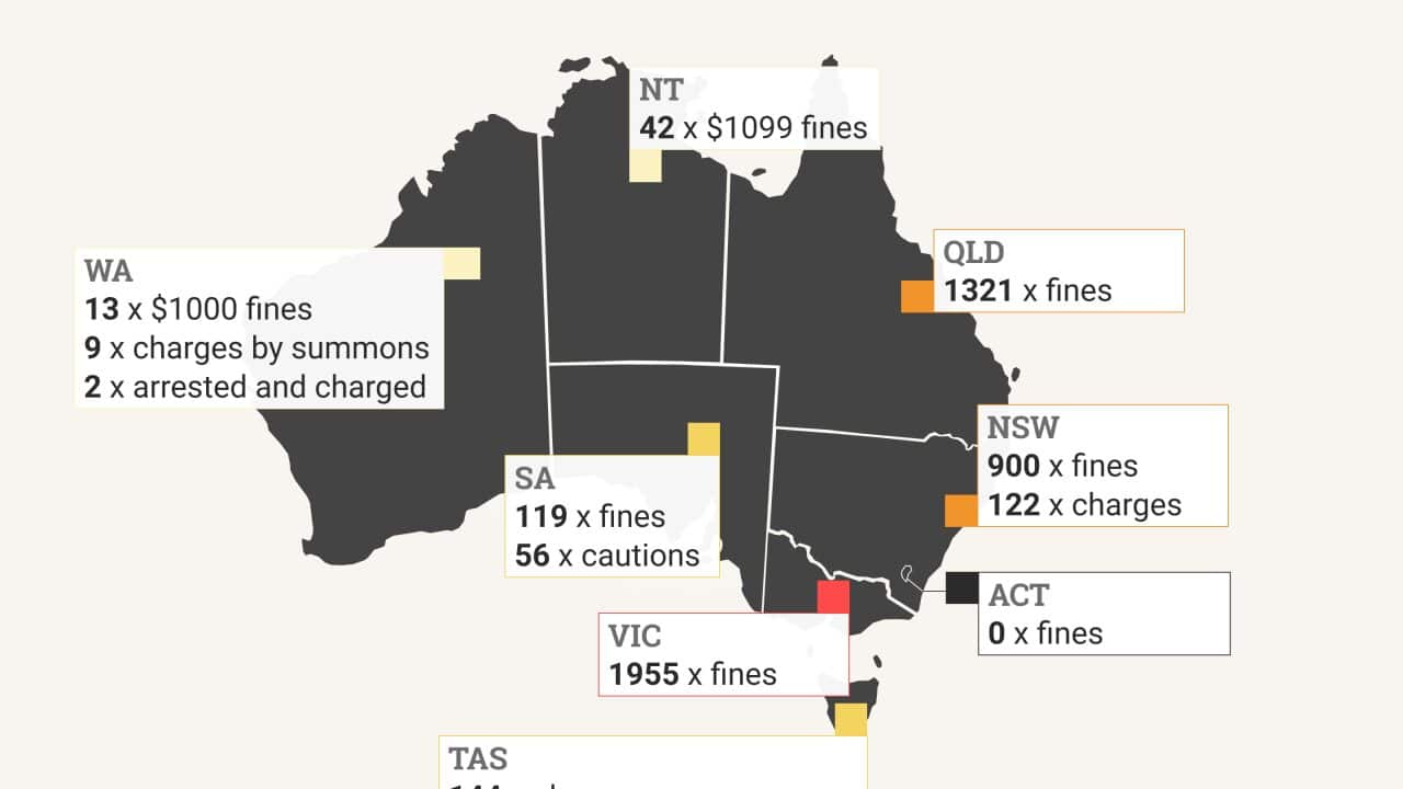 The state of Victoria has issued the most fines for lockdown breaches, while the ACT has issued none.