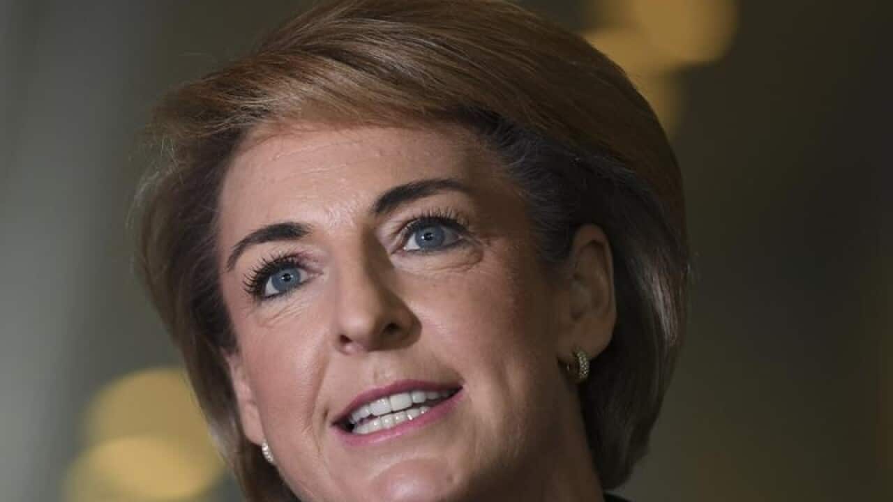Jobs Minister Michaelia Cash