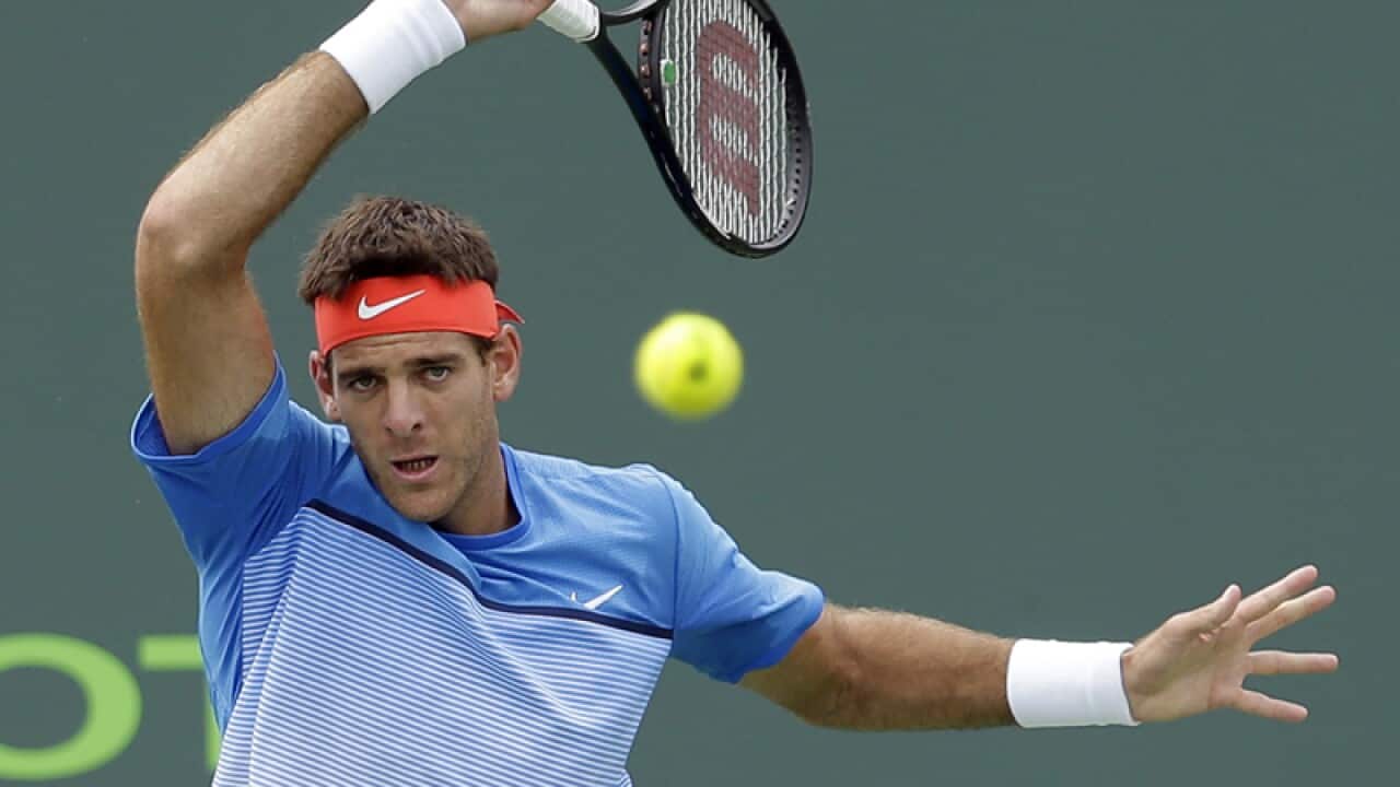 Argentinian tennis player Juan Martin del Potro
