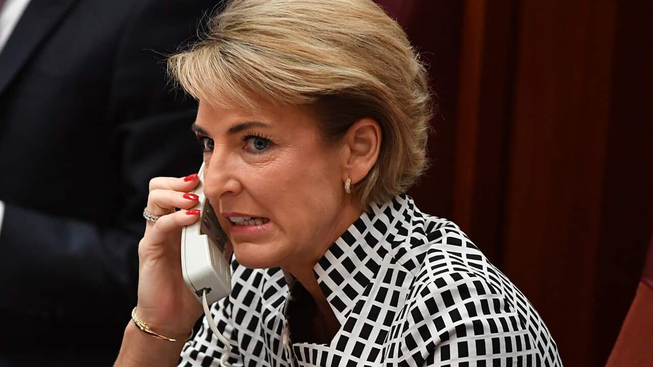 Minister for Employment Michaelia Cash