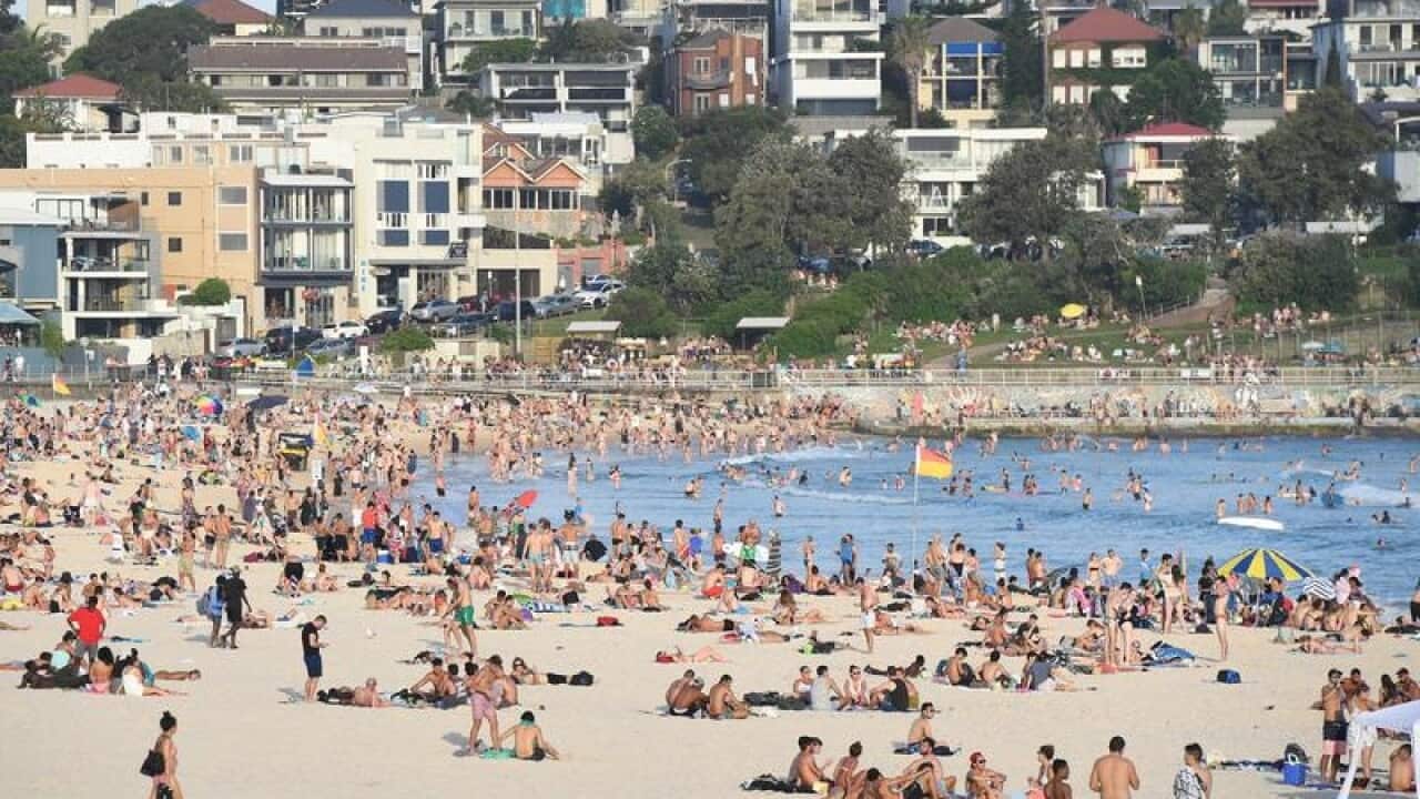 A huge crowd is seen on Bondi Beach