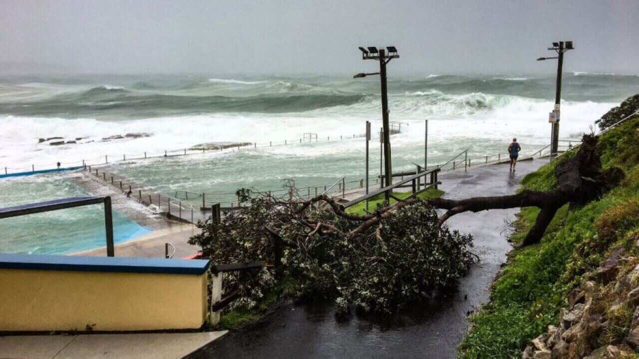 Dee Why Beach, Sydney NSW