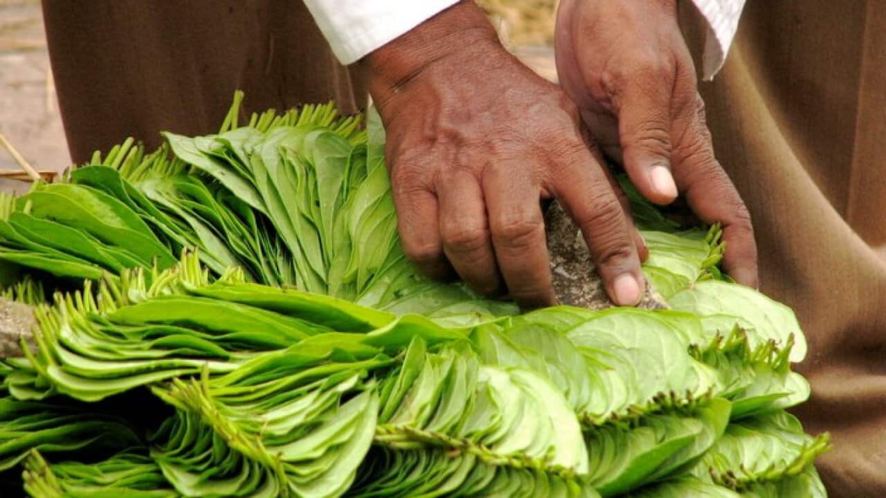 Paan Ho Tou Banaras Ka!