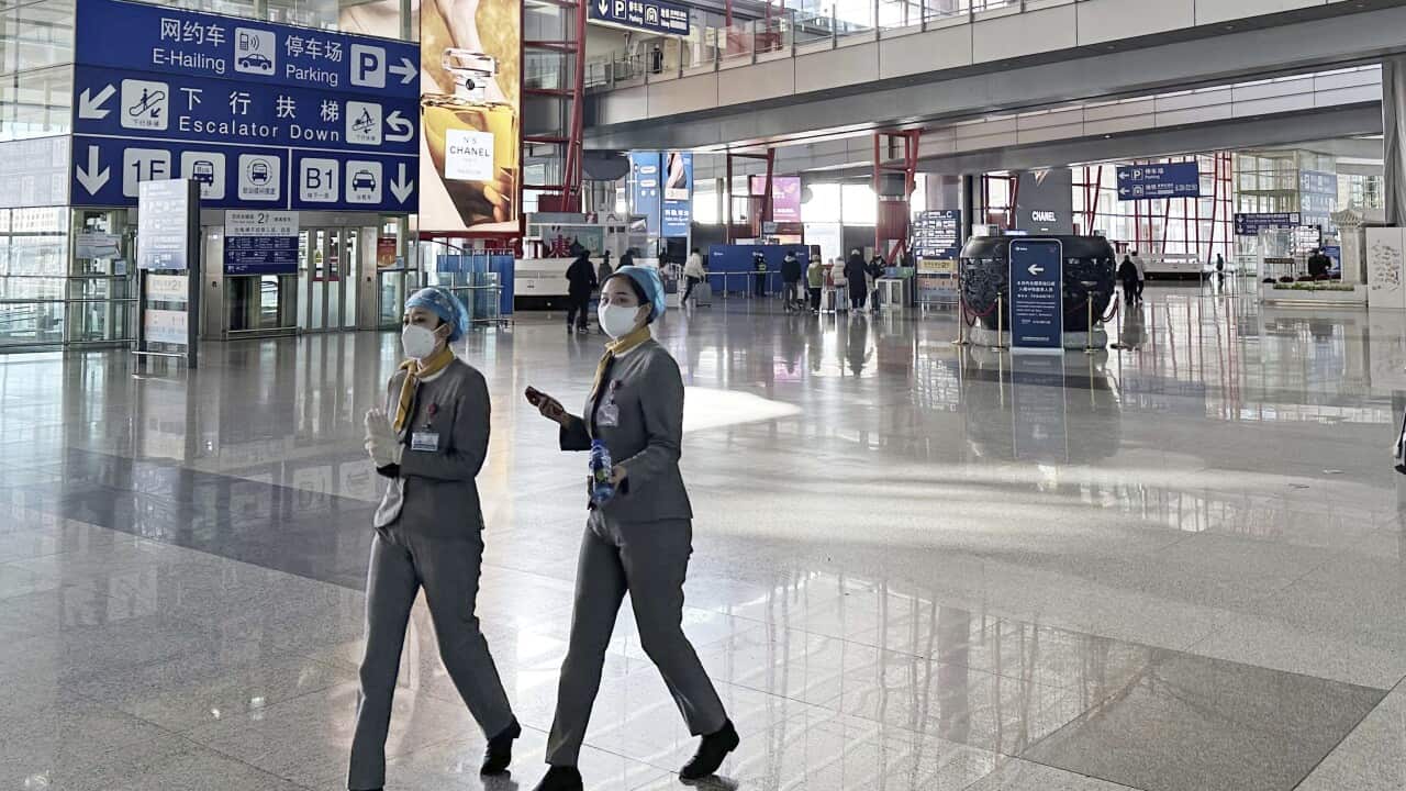 Novel coronavirus / China