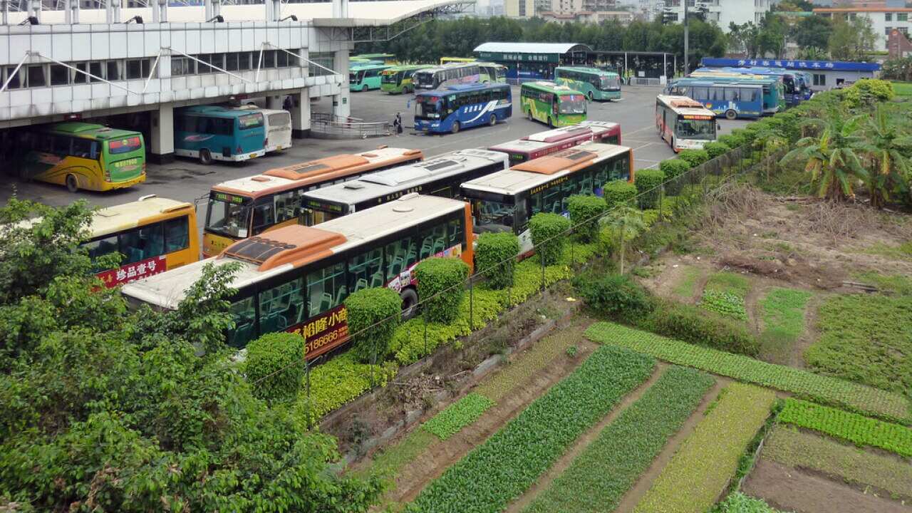 Bus terminal at Fangcun metro: high-rises and vegetable farms