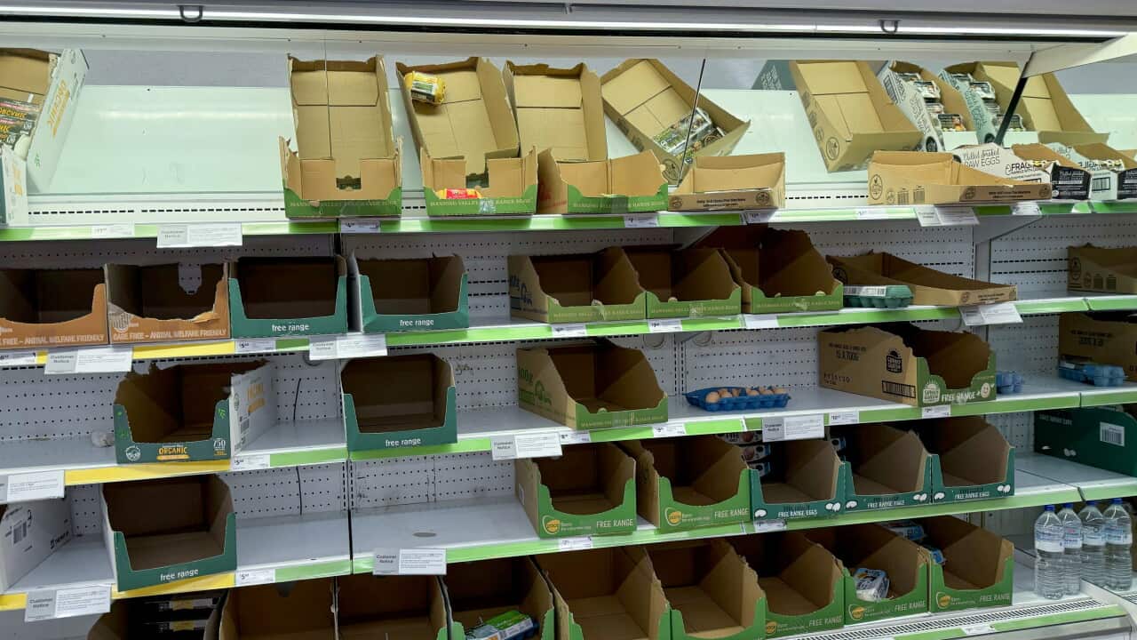 SUPERMARKET EGG SHORTAGE