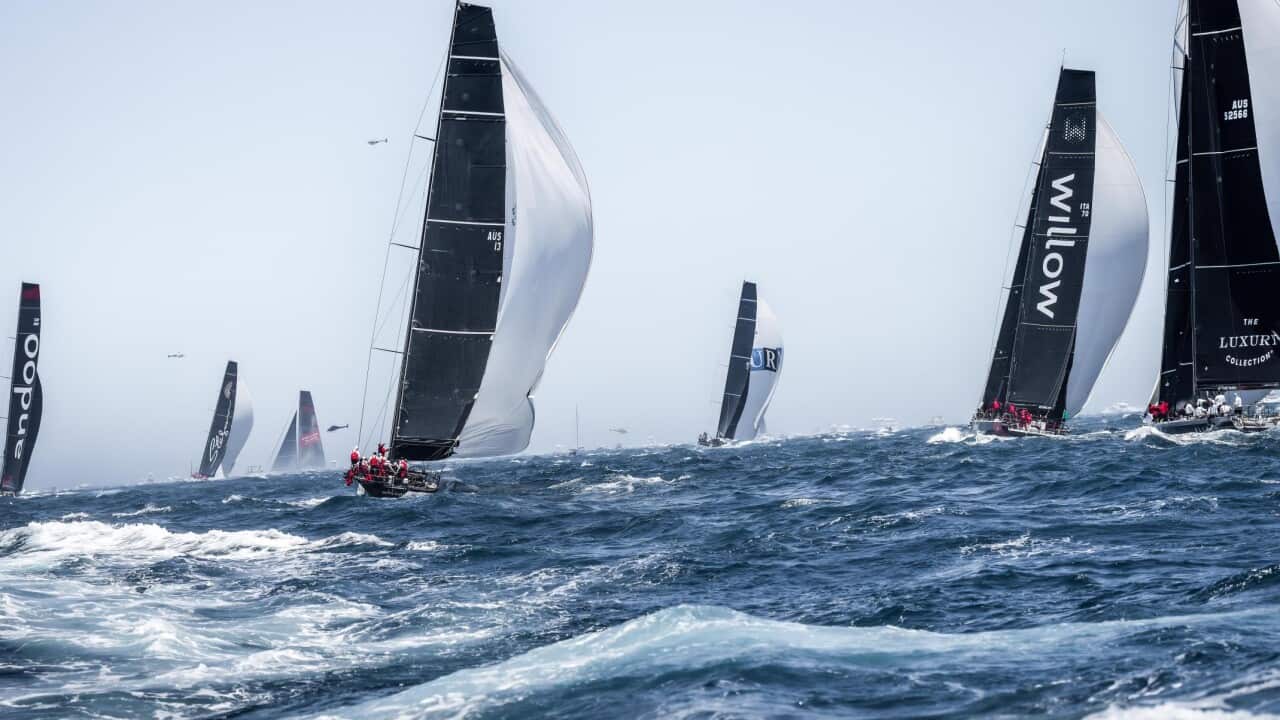 Image for read more article '阅读更多'