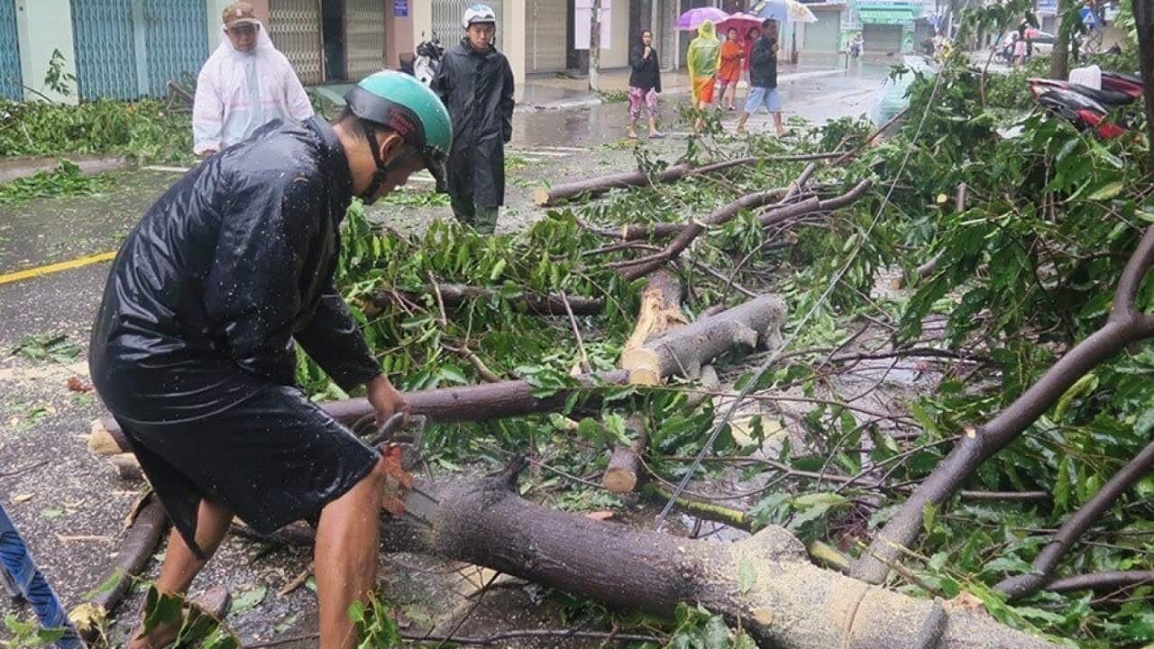 People walk past fallen trees caused by Typhoon Damrey in Nha Trang.