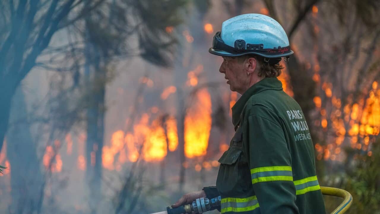 Image for read more article 'READ MORE'