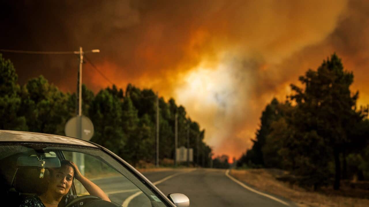 Wildfires in Portugal