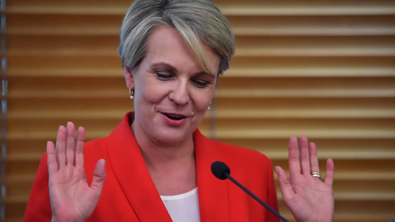 Deputy Leader of the Opposition Tanya Plibersek speaking at Labor's Women's Budget Statement event at Parliament House in Canberra, Thursday, April 4, 2019. (AAP Image/Mick Tsikas) NO ARCHIVING