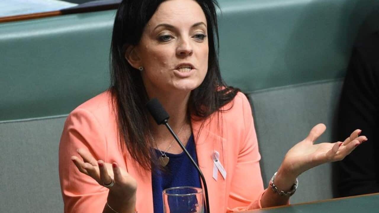 Labor Member for Lindsay Emma Husar