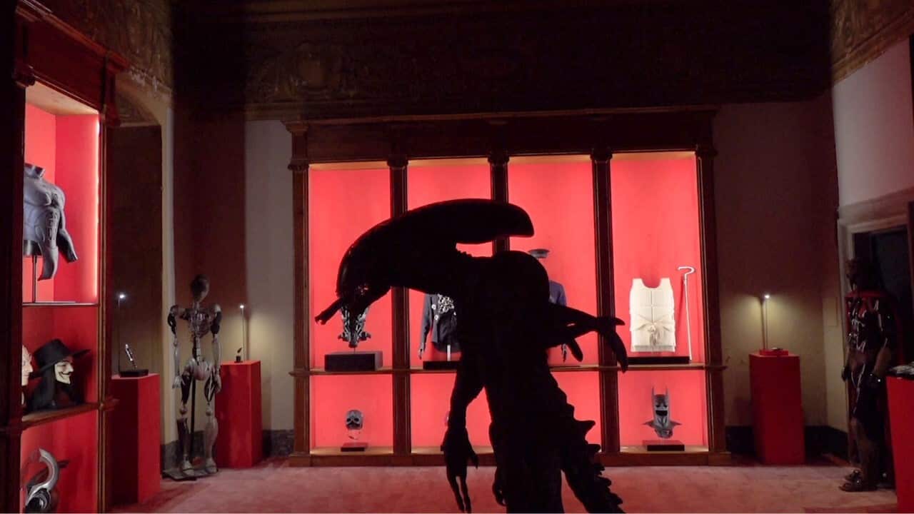 Some of the items at the Theatrum Mundi, including the creature from the movie 'Alien