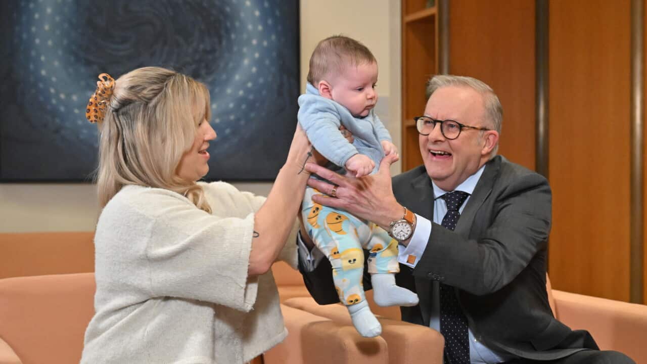 ANTHONY ALBANESE FAMILIES PIC OP