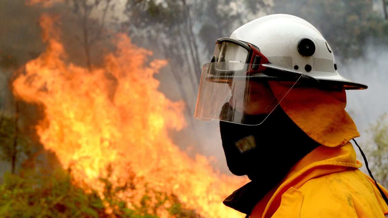 Fireman fighting fire in NSW