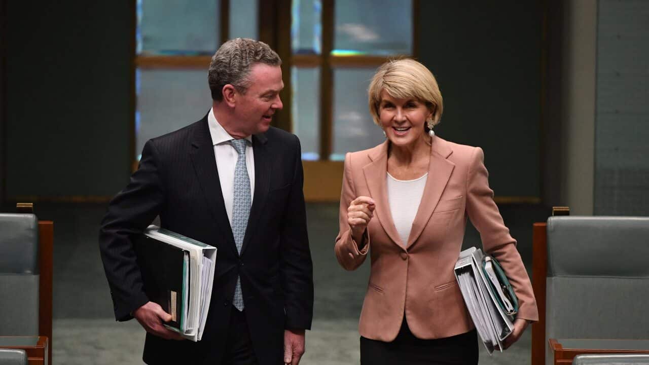 Christopher Pyne and Julie Bishop during their time in cabinet