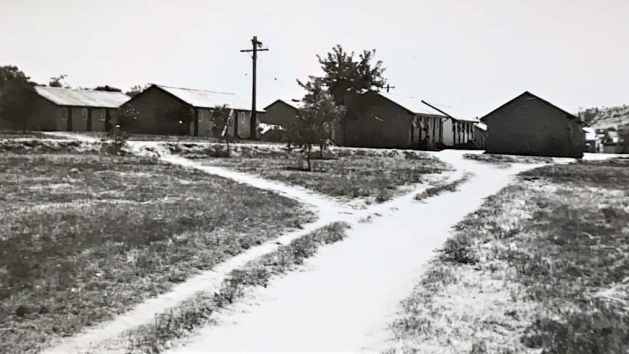 Bonegilla open.jpg