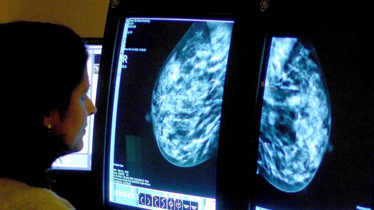 A mammogram is analysed