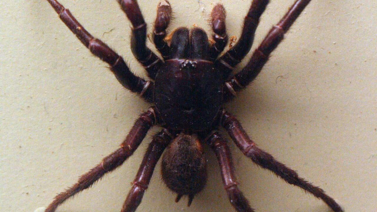 Image for read more article 'READ MORE'