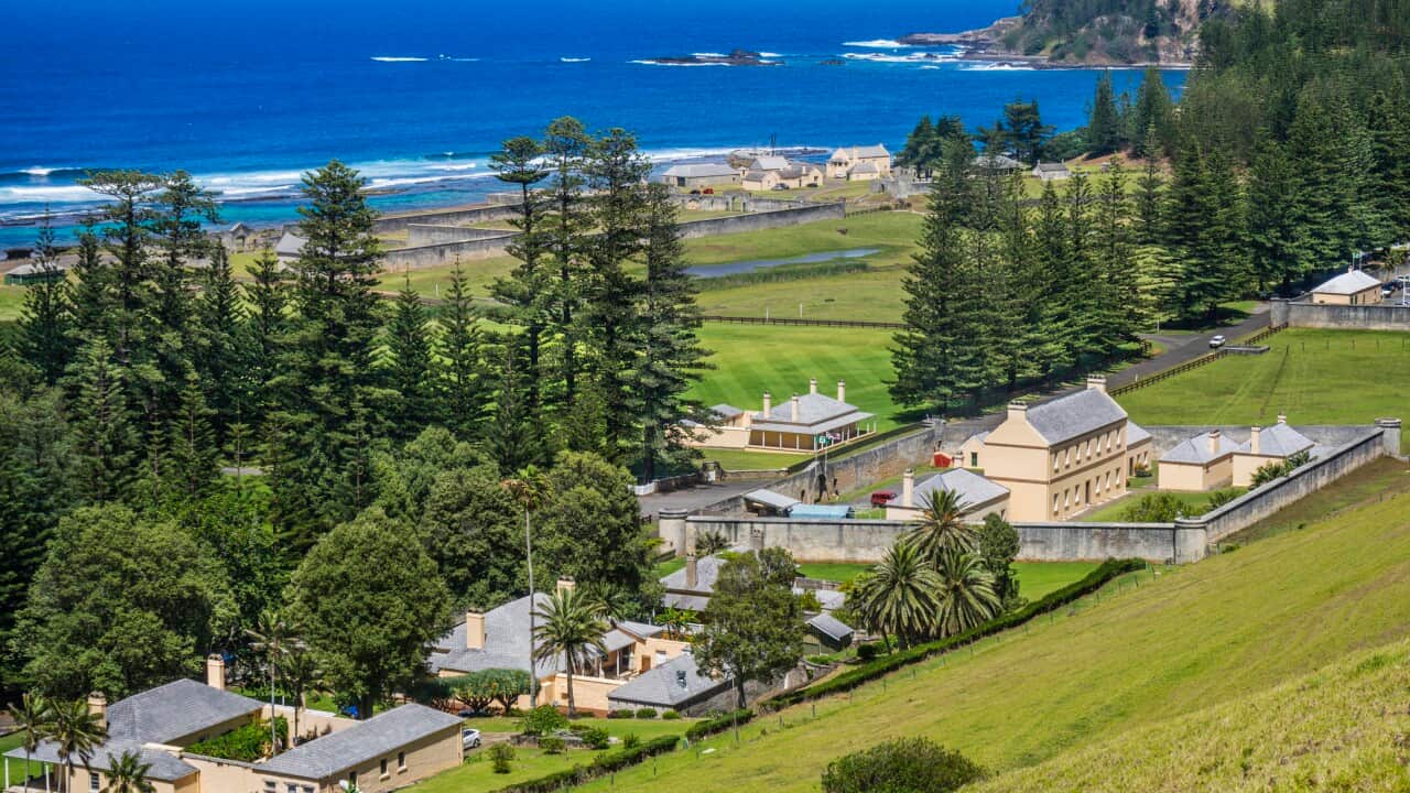 Aerial shot of houses on Norfolk island