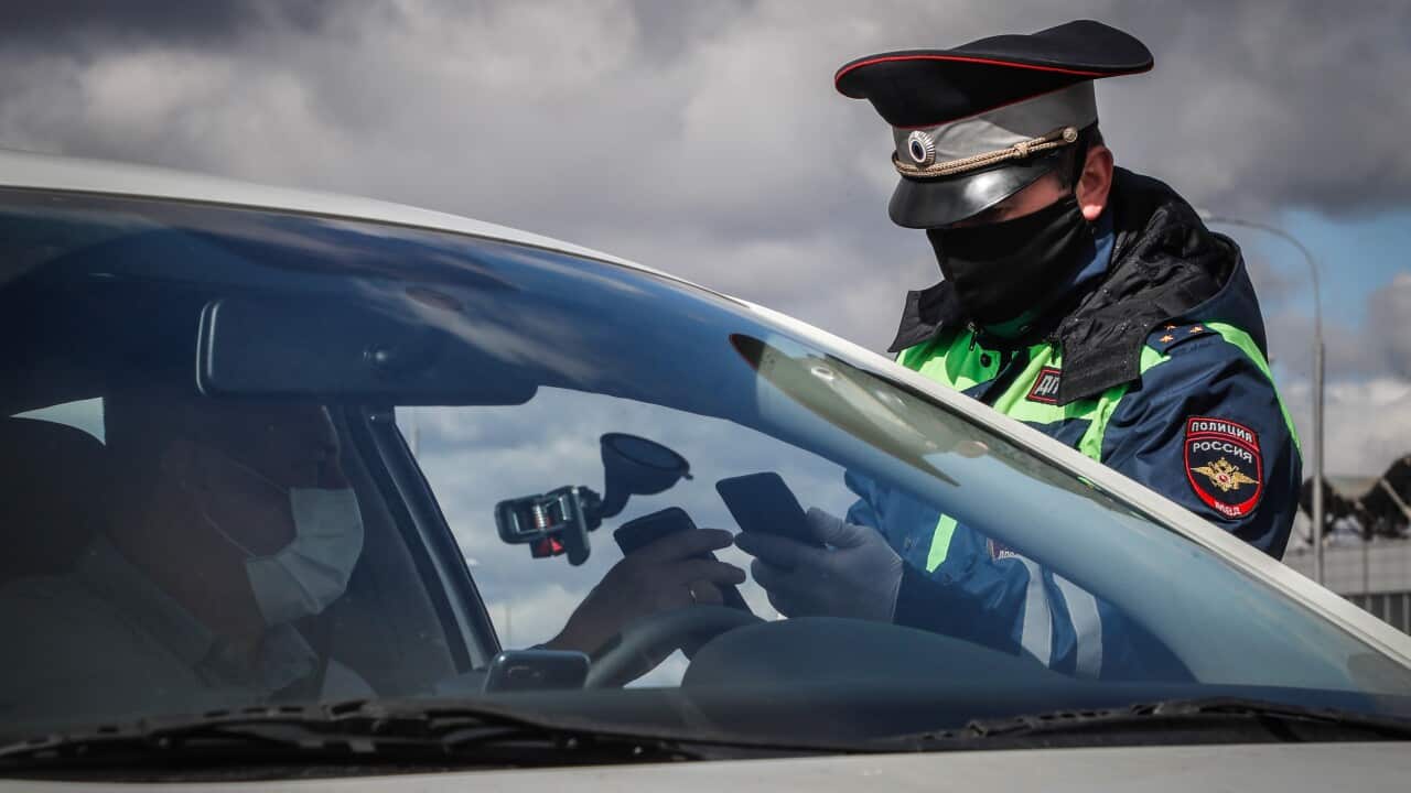 A Russian police officer checks identity cards and passes of drivers and passengers in vehicles entering the city at a COVID-19 check point in Moscow.