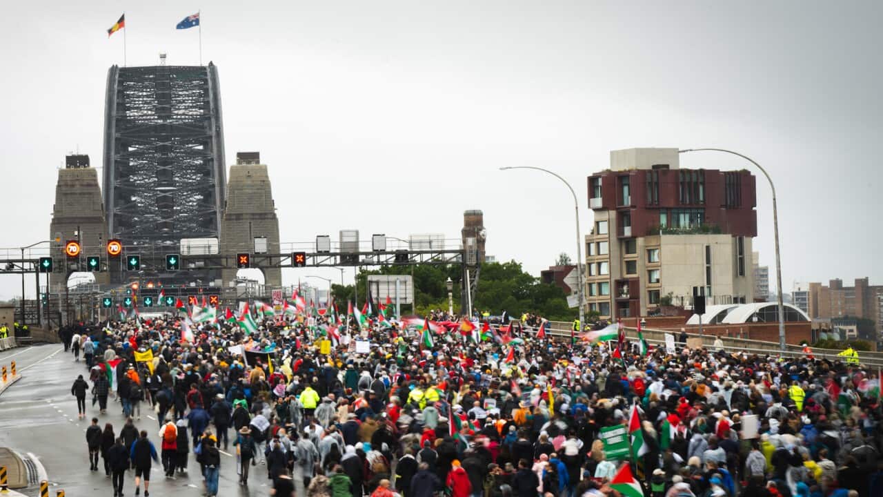 A large crowd of pro-Palestinian protesters marched across Sydney Harbour Bridge on a rainy day, carrying flags and signs.