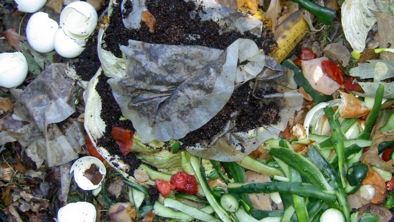 Compost