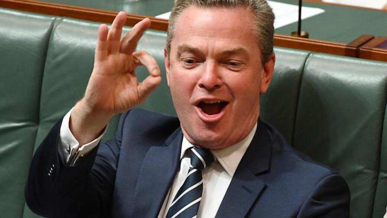 Defence Industry Minister Christopher Pyne.