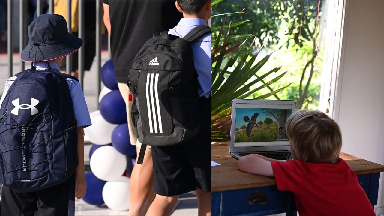 Image for read more article ''