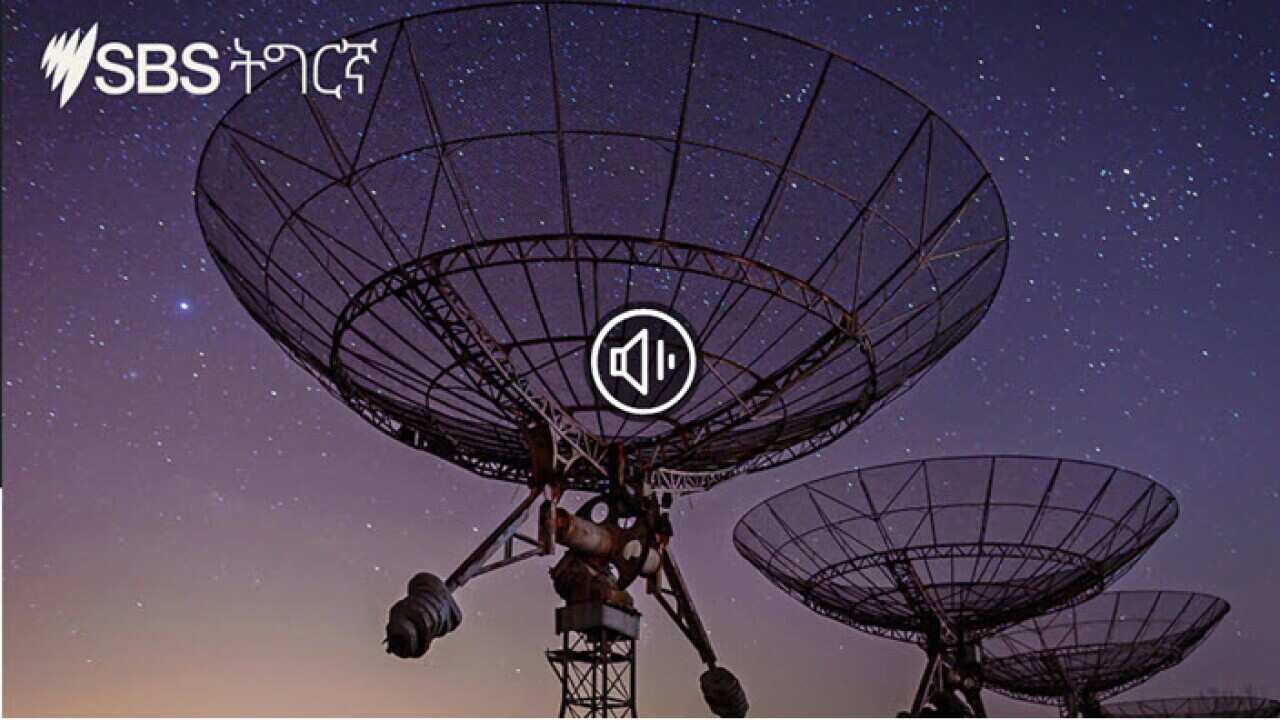 Homelad Report (17/01/2022)