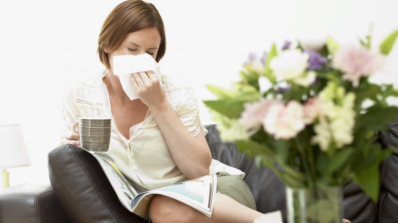 Untreated hay fever can have significant impacts on quality of life and performance at work and school.