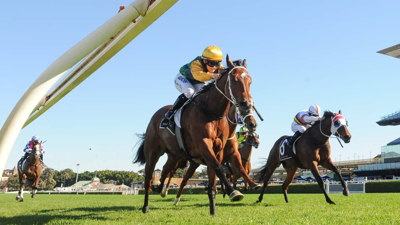 Jockey Rachel King rides La Chica Bella during the Royal Randwick Race Day at Randwick Racecourse in Sydney, Saturday, August 3, 2019