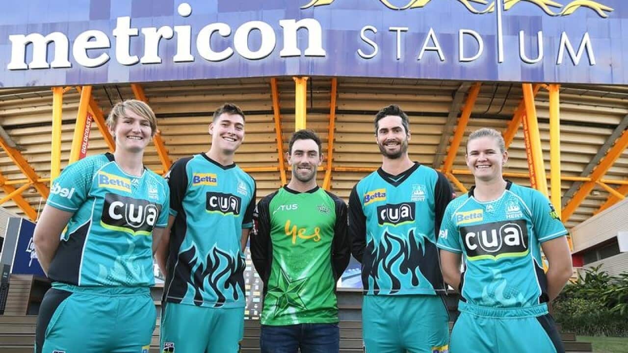 WNBL and BBL cricketers at Metricon Stadium